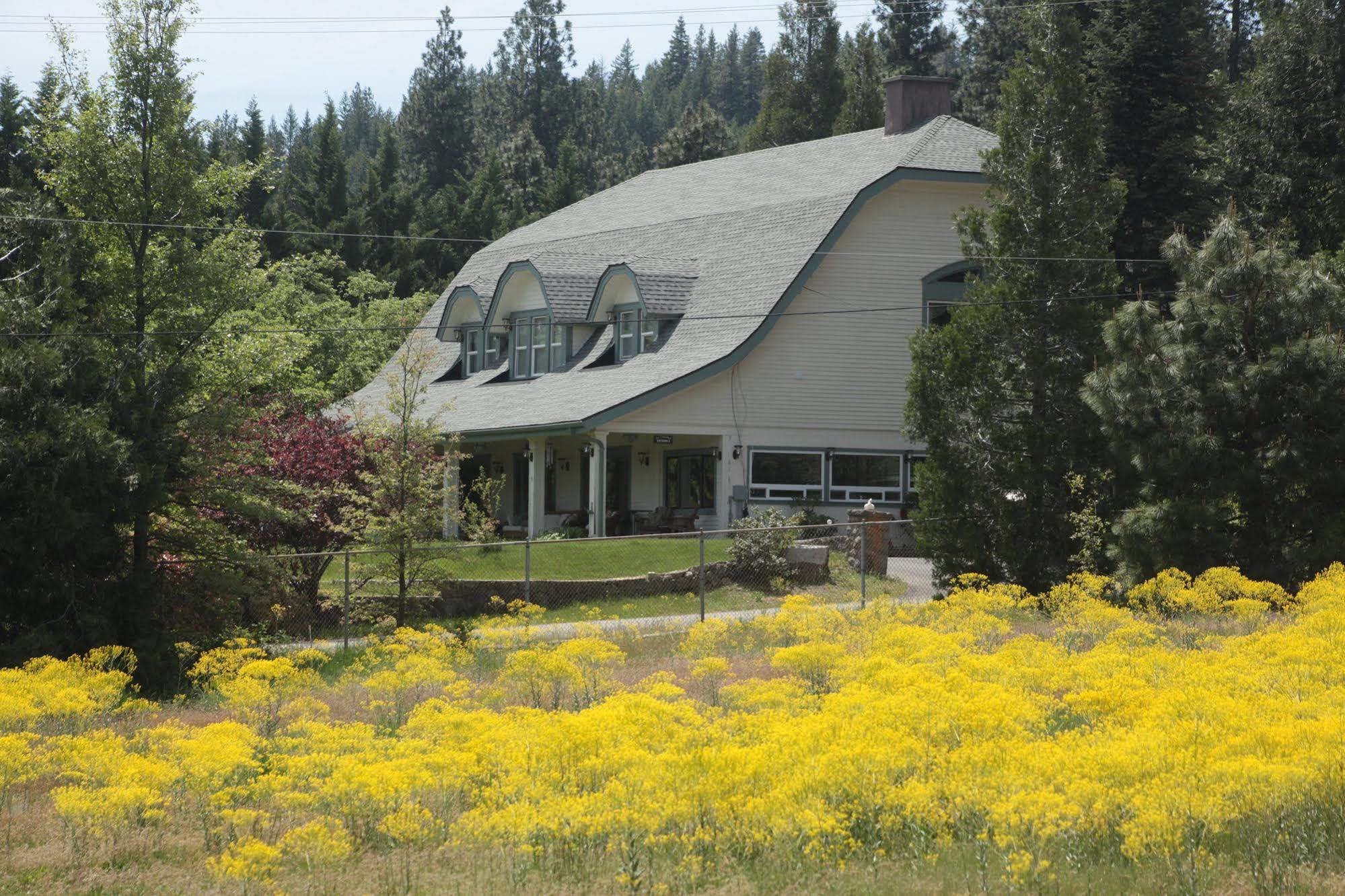 Mount Shasta Ranch Bed And Breakfast المظهر الخارجي الصورة